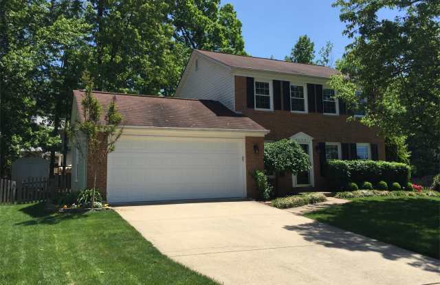 2669 Horton Hill Road - 2669 Horton Hill Road, Franklin Farm, VA 20171
