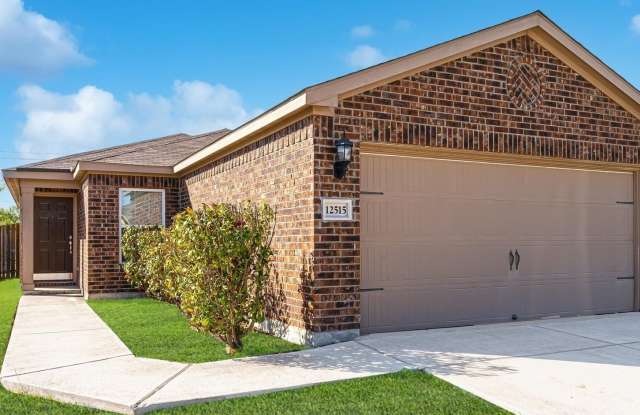 12515 Switchgrass photos photos 12515 Switchgrass photos photos
