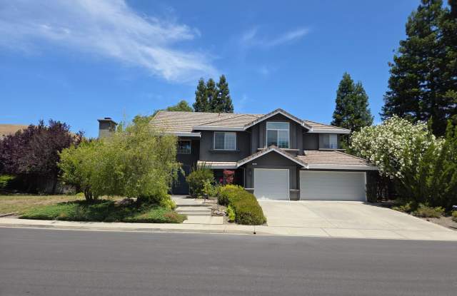 Spacious 5-Bedroom Danville Home with Dramatic High Ceilings & Flexible Living Areas photos photos