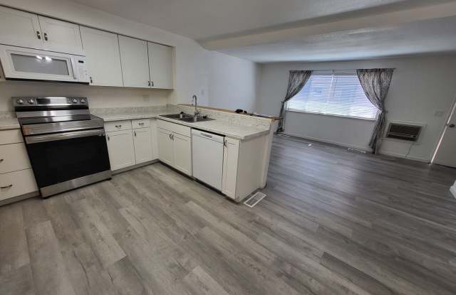 Spacious and Ready for move in! 259 Allouette Way #5, Carson City, NV 89701 photos photos