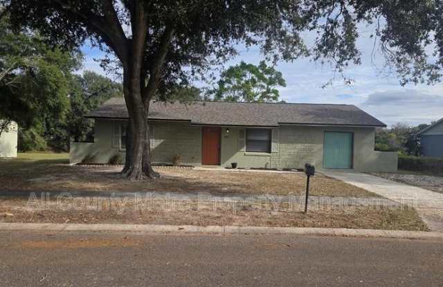 1445 Lake Opal Dr. - 1445 Lake Opal Drive, South Apopka, FL 32703