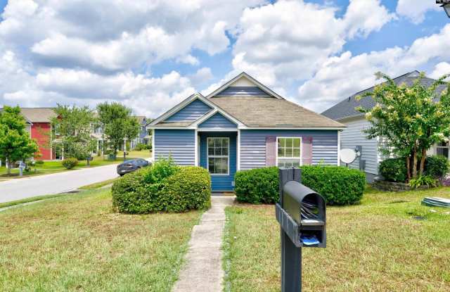 628 Candytuft Lane - 628 Candytuft Lane, Richland County, SC 29223