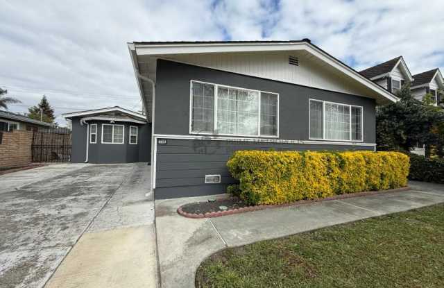 738 San Simeon Street - 738 San Simeon Street, Sunnyvale, CA 94085