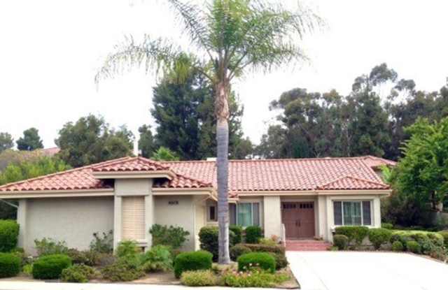 Beautifully Furnished Home For 8 Months in Shadowridge/Vista photos photos