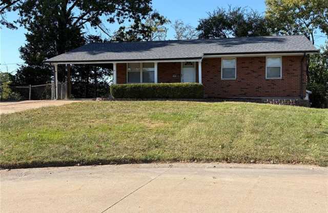 10915 Suanis Court Gallery 1