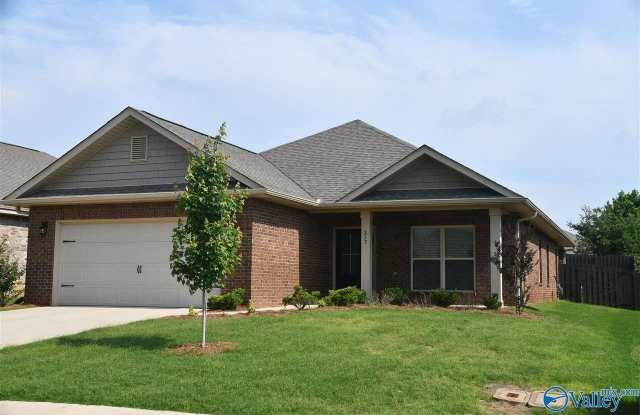 257 Caudle Drive - 257 Caudle Drive, Madison County, AL 35756