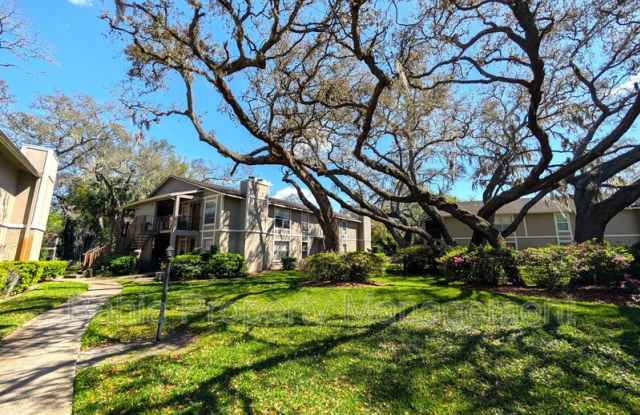 14211 Shadow Moss Ln photos photos