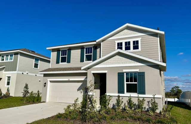 Newly Constructed 4BDrm 3Bath 2Car Garage -- Hilltop Estates -- Haines City - 236 Hilltop Bloom Loop, Dundee, FL 33844