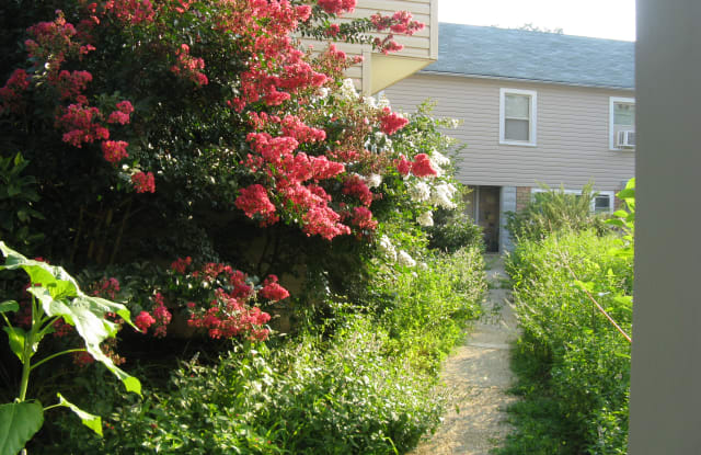 517 Montgomery St - 517 Montgomery Street, Laurel, MD 20707