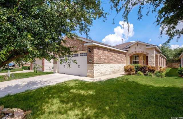 12927 Sand Holly photos photos