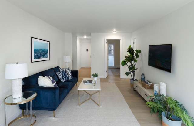 The Larkspur Gallery 4