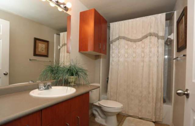 12007 N Lamar Blvd, #1102 photos photos