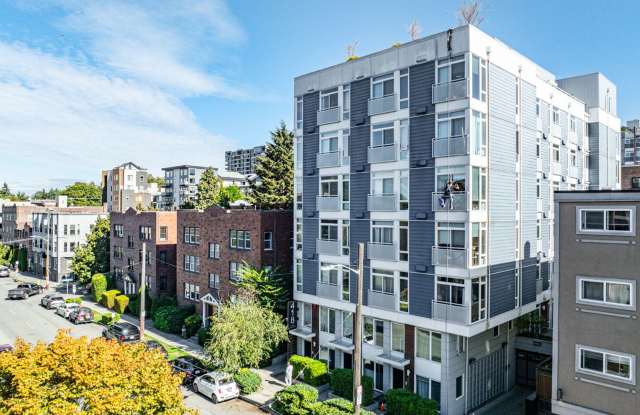 The Local 418 photos photos