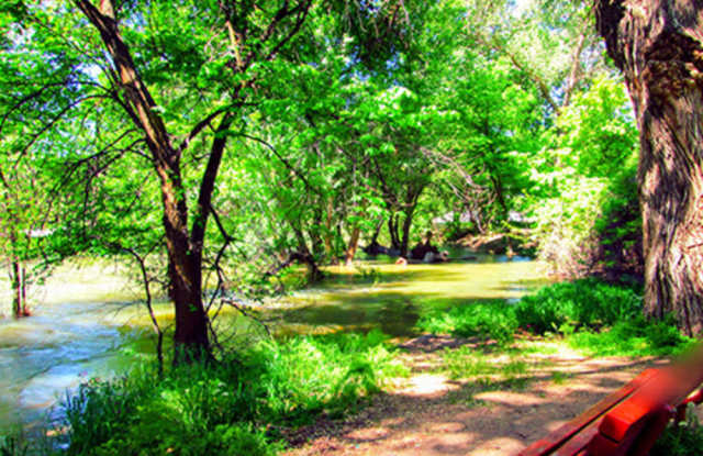 Country Woods photos photos