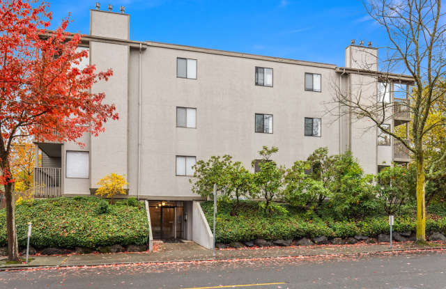 4911 Fremont Ave N, Unit 204 - 204 photos photos