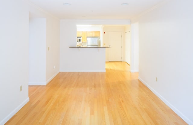 120 Mountfort StreetUnit 204 - 120 Mountfort Street, Boston, MA 02215