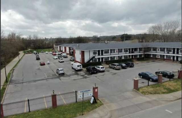 Sycamore photos photos