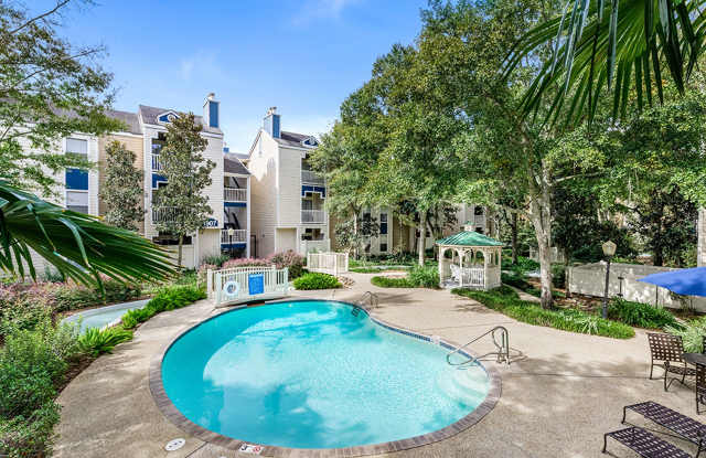 Chestnut Creek photos photos