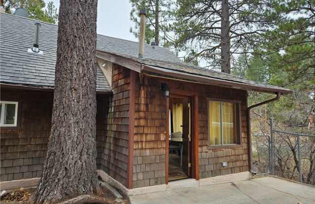 32868 Deer photos photos