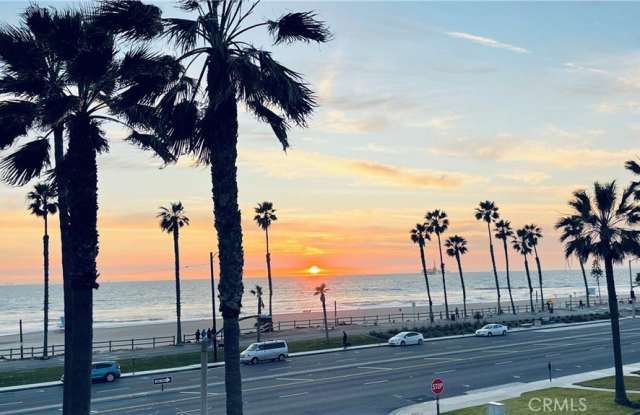 1516 Pacific Coast photos photos