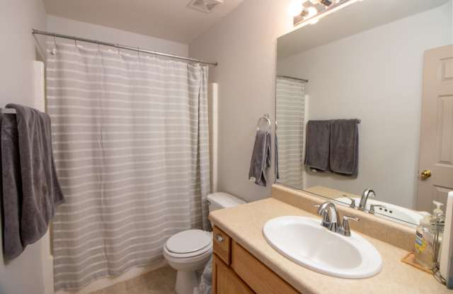 3913 Pearl Court Gallery 4