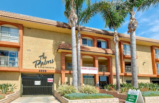 The Palms photos photos