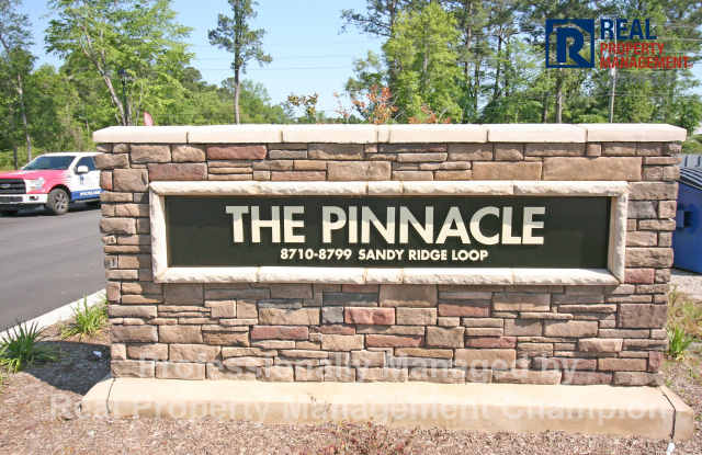 Newly Constructed Luxury Townhomes in Porters Neck Gallery 3