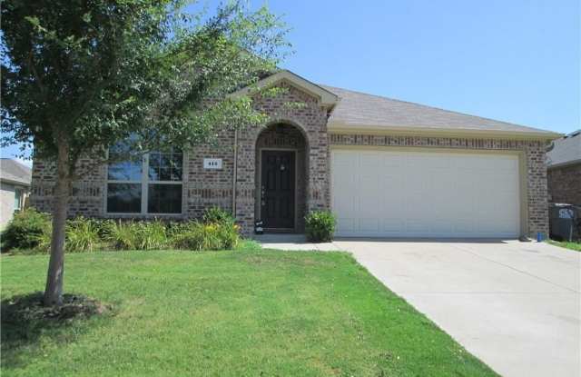 412 Sandy Lane - 412 Sandy Lane, Little Elm, TX 75068