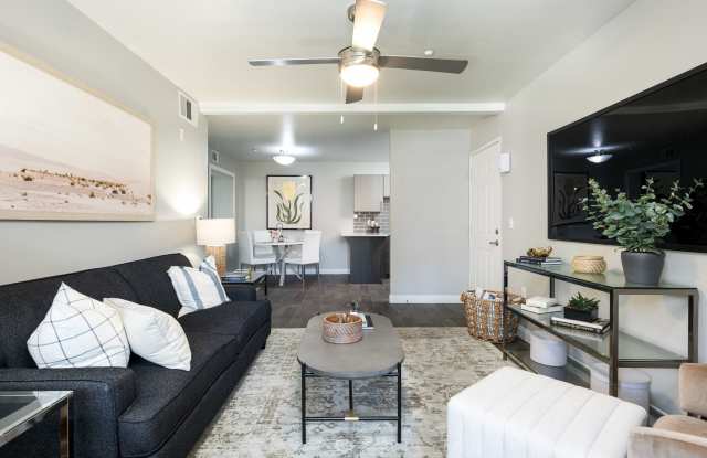 Amara Spring Valley Apartments Gallery 4