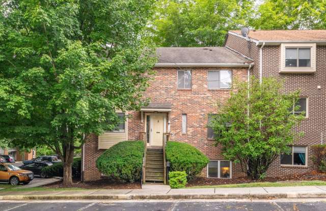 3 Bed/2 Bath Pet Friendly Bus Route. Parking. photos photos