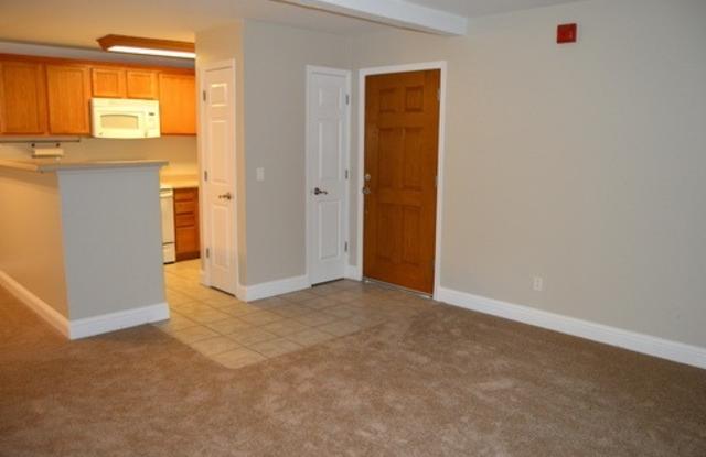 MOVE IN READY!! 1 Bedroom 1 Bath in Villa Borgata Gallery 3