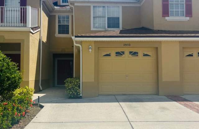 2-Story Townhouse photos photos