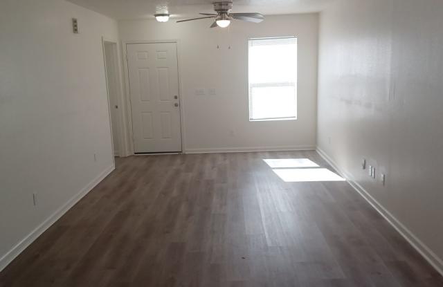 Newer 3 BR 2 BA home convenient to downtown St Augustine Gallery 4