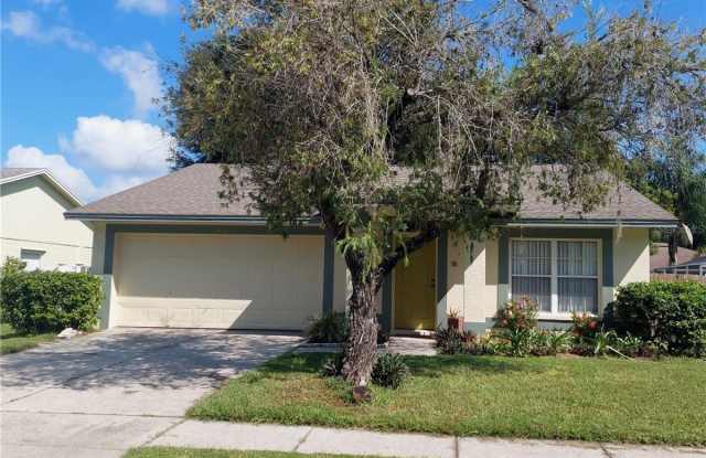 5830 TAYWOOD DRIVE - 5830 Taywood Drive, Carrollwood, FL 33624