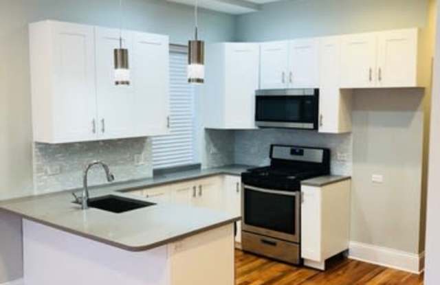 2226 W. Cermak - 2F Gallery 3