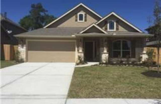 21359 HUBBARD RUN - 21359 Hubbard Run Drive, Montgomery County, TX 77365