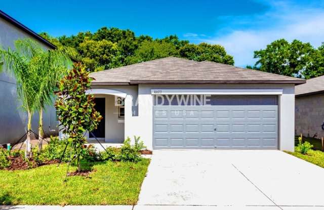 10615 Sweet Sapling Street - 10615 Sweet Sapling Street, Riverview, FL 33578
