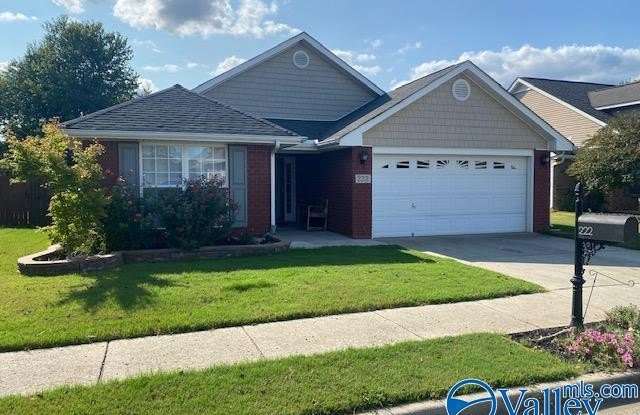 222 Silver Breeze Court - 222 Silver Breeze Court, Madison County, AL 35749