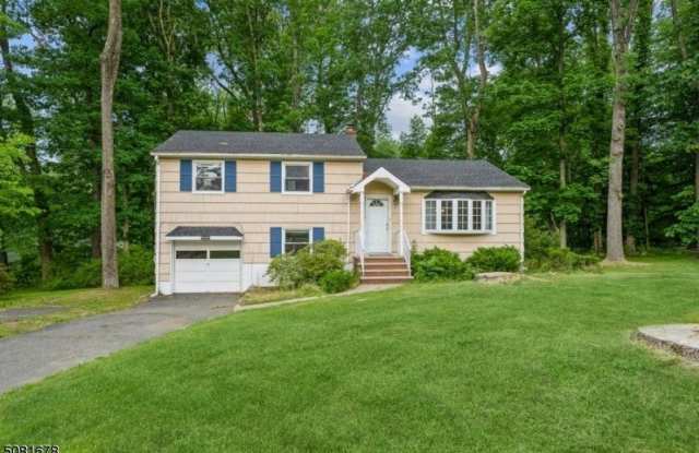 42 Warren St - 42 Warren Street, Morris County, NJ 07981