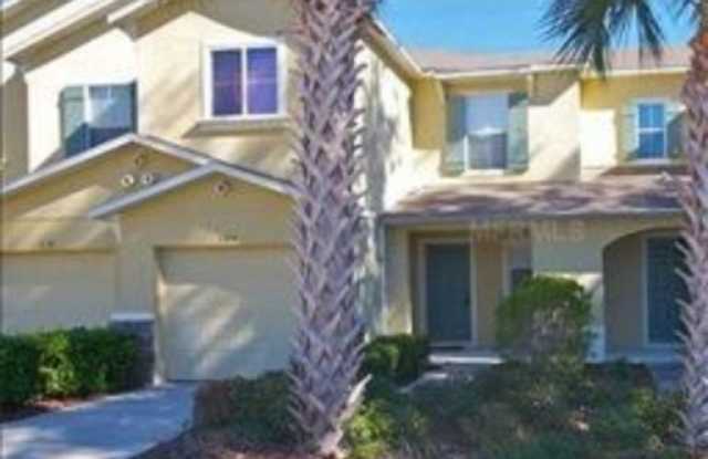 5309 Aloha Seed Drive - 5309 Aloha Seed Drive, Mango, FL 33584