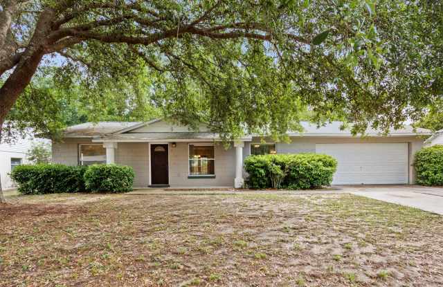 409 Dorothy Circle - 409 Dorothy Circle, Eustis, FL 32726