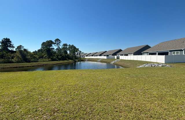 4 Bed 2 Bath in Grayson Park - Tons of Amenities!!! Gallery 4