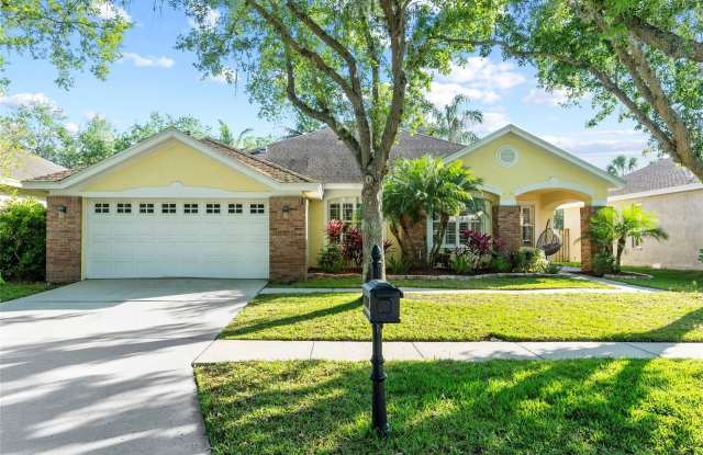 10602 ROCHESTER WAY - 10602 Rochester Way, Westchase, FL 33626