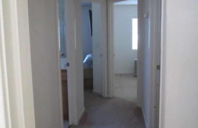 4381 Burr Ct Gallery 3