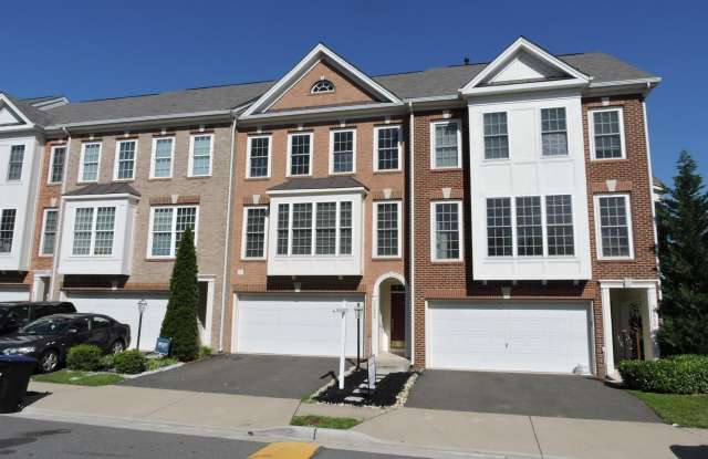 21844 LADYSLIPPER Square photos photos