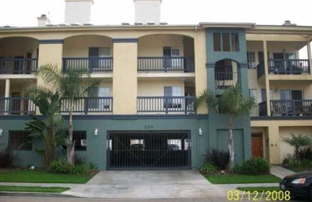 259 Donax Ave, Unit D photos photos