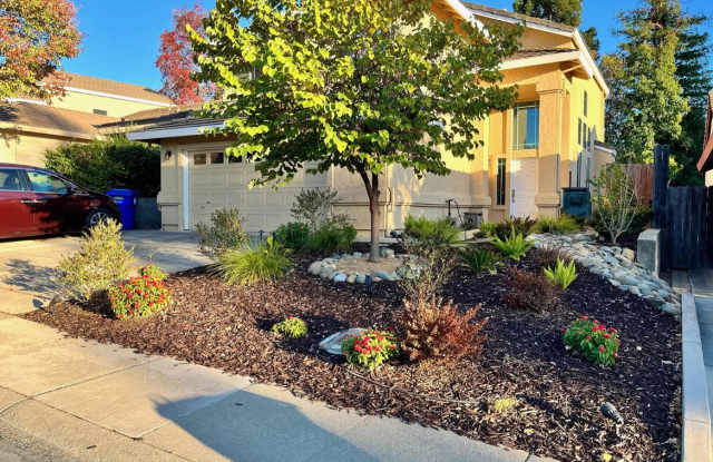 122 Oxburough Drive photos photos