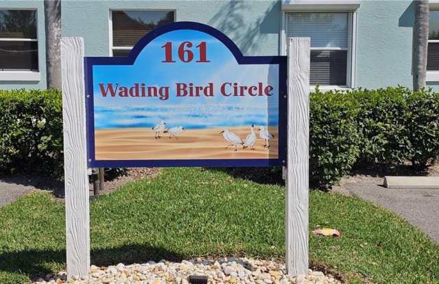 161 Wading Bird photos photos