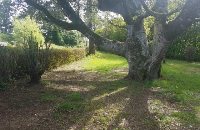 Newly Updated! 3 Bed/2 Bath House on a Large Lot! photos photos