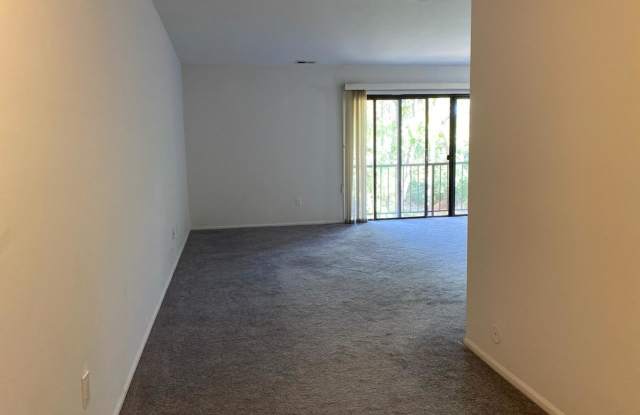 172 Edinburgh Court Gallery 4